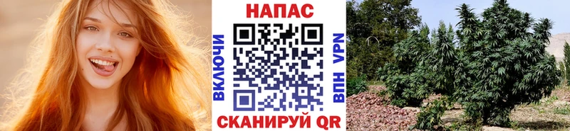 Шишки марихуана THC 21%  Александров 
